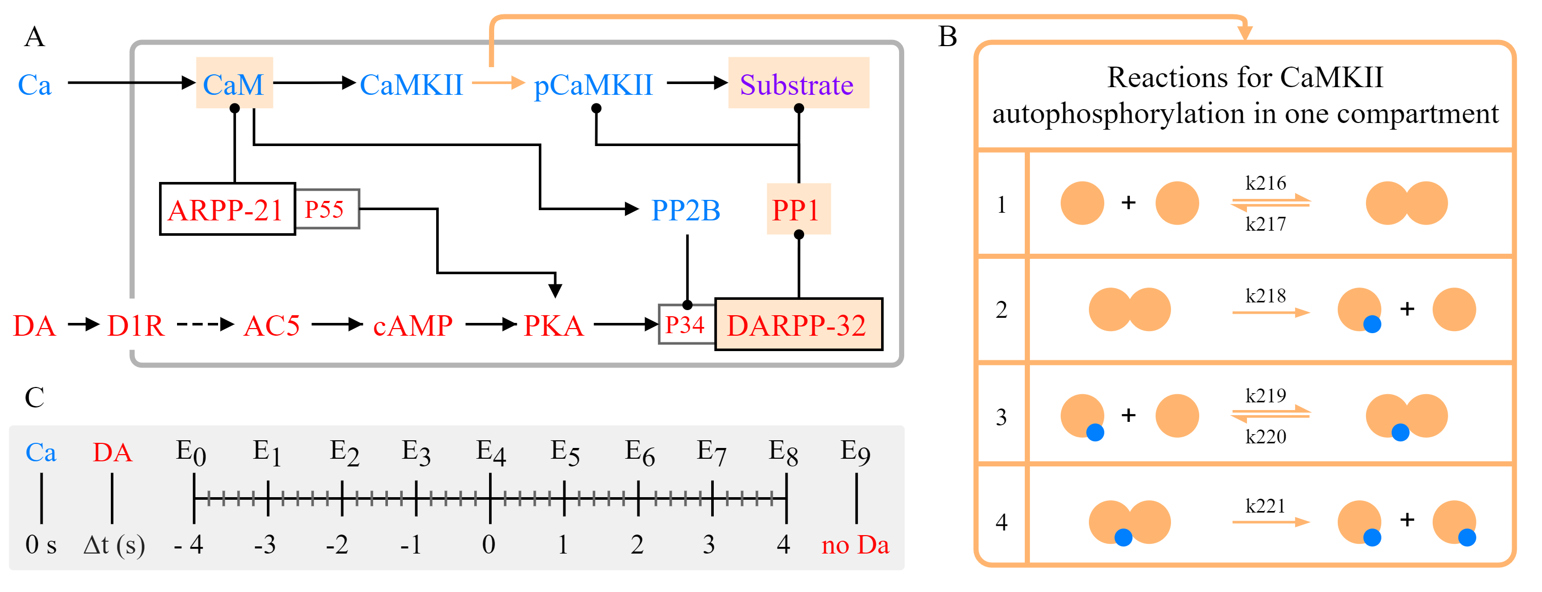 _images/Nair_2016_schematic.png